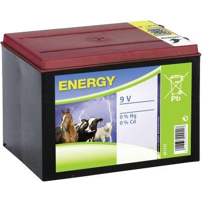 Batteria elettrorecinzione kerbl