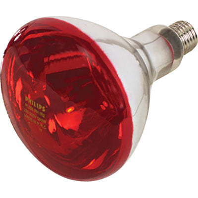 Lampada riflettore pulcini