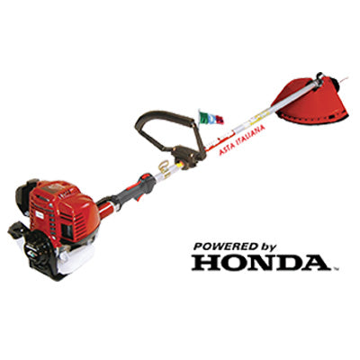 Decespugliatore honda 4t bluebird