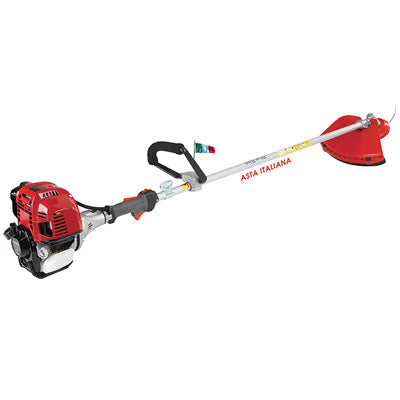 Decespugliatore honda 4t bluebird