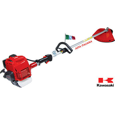 Decespugliatore kawasaki plus bluebird
