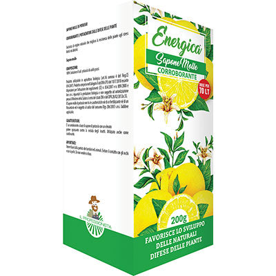 Corroborante sapone molle energica