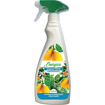 Corroborante sapone molle spray energica