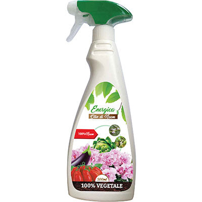 Insetticida olio neem spray energica