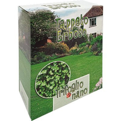 SEME PRATO TRIFOGLIO REPENS NANO