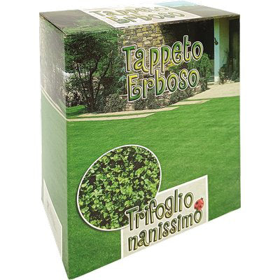 Seme prato trifoglio repens nanissimo