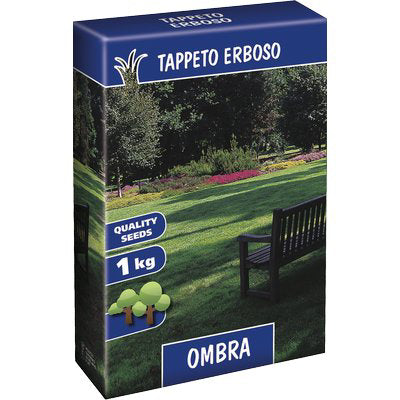Seme prato ombra