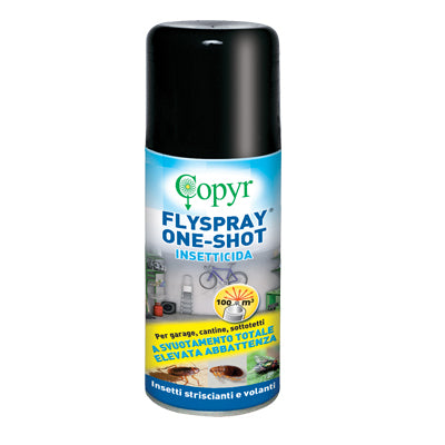 Insetticida volanti e striscianti flyspray copyr