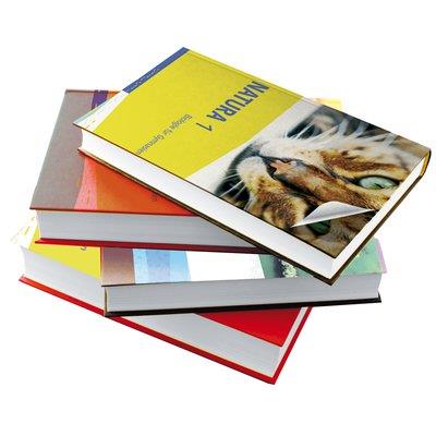 PLASTICA ADESIVA 1962 HOME DECO