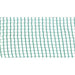TELO X OLIVE PUGLIA + SPACCO STARS