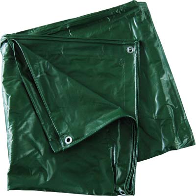 Telone occhiellato pvc pesante verde effe