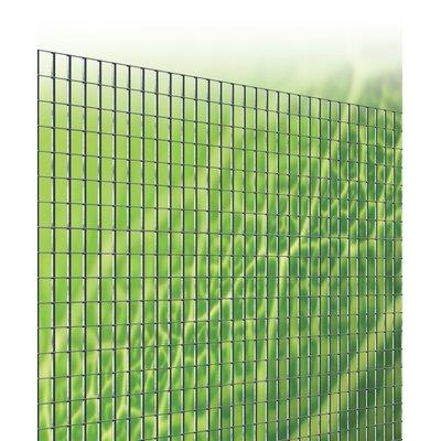 Rete elettr zincata dopo 12x25 stars