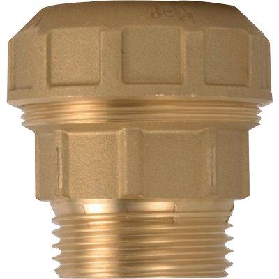 Manicotto a compressione fil maschio pn25 715 itap