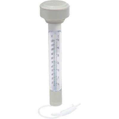 Termometro piscina 58072 bestway