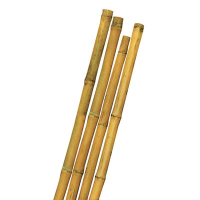 TUTORE CANNA BAMBOO STARS