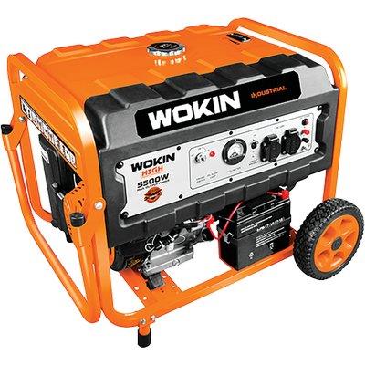 Generatore corrente 791255 wokin