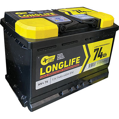 Batteria auto modulo valore +