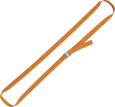 Cinghia ad anello 8188f robur