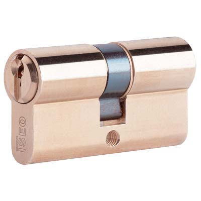 Cilindro sagomato 8209 iseo