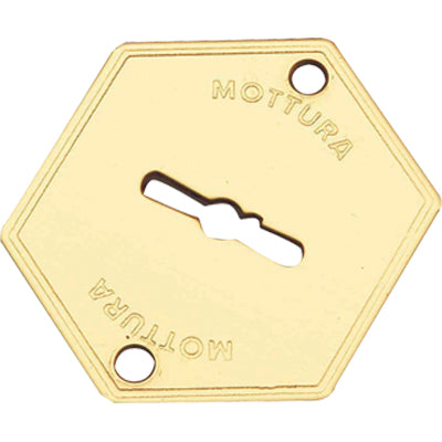 Mostrina porta blindata 95223 mottura