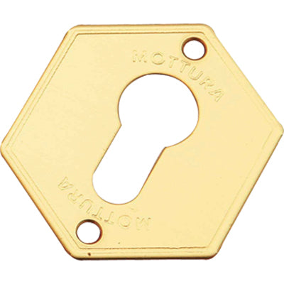 Mostrina porta blindata 95297 mottura