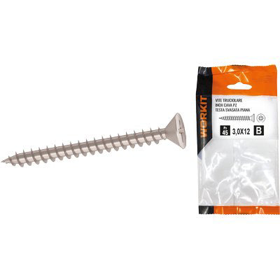 Vite truciolare tsp inox self workit